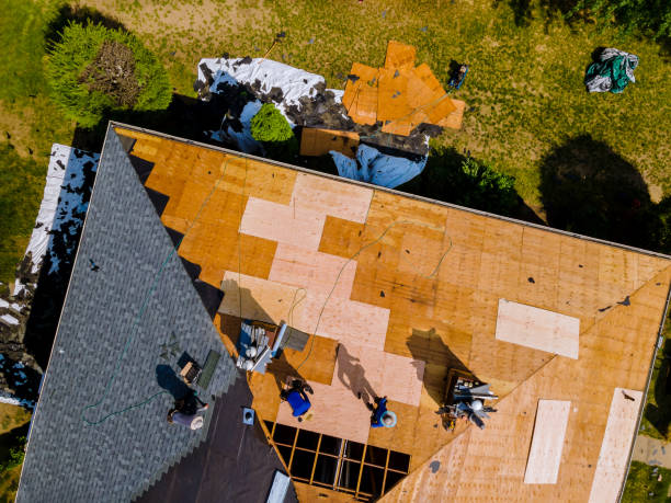 Best Flat Roof Repair Services  in Haines City, FL