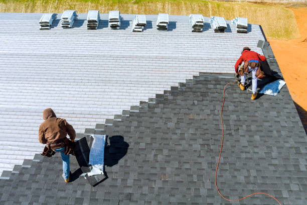 Best Storm Damage Roof Repair  in Haines City, FL
